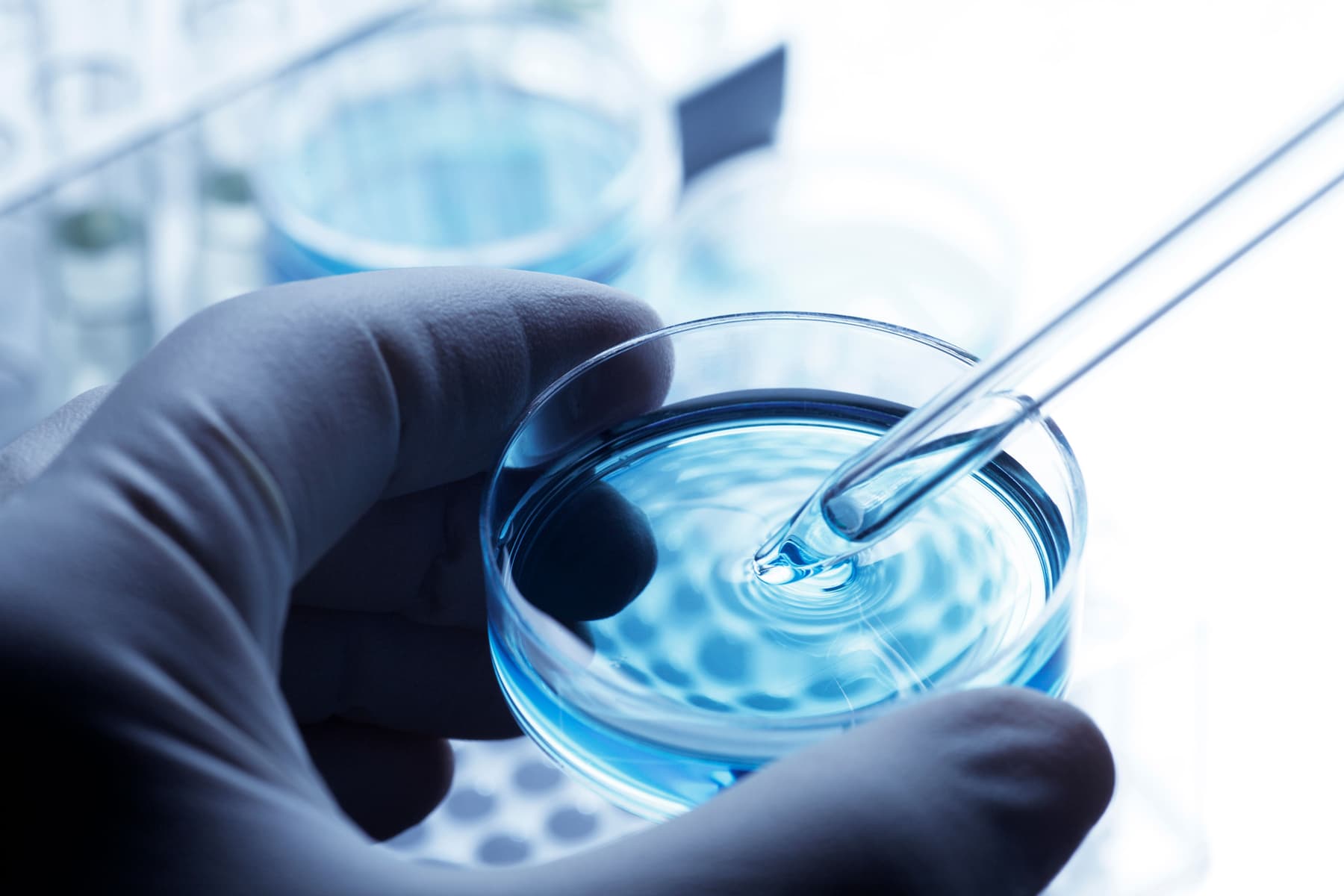 AiiA Pharmaceutical